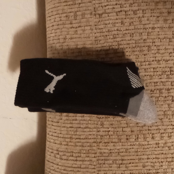 Sock's